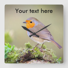 Reloj Robin personalizable añadir tu propio texto