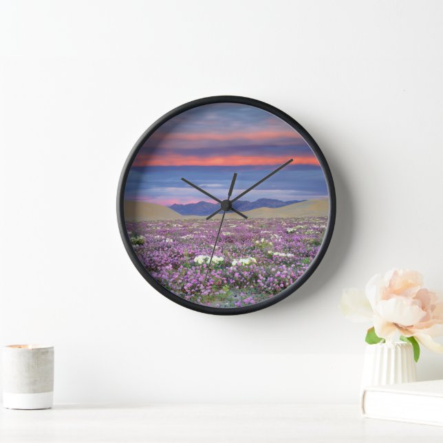 Reloj Sand Verbena y Dune Primrose Wildflowers at Sunset (Hogar)