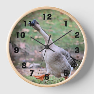 Reloj Silly goose