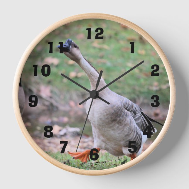 Reloj Silly goose (Anverso)