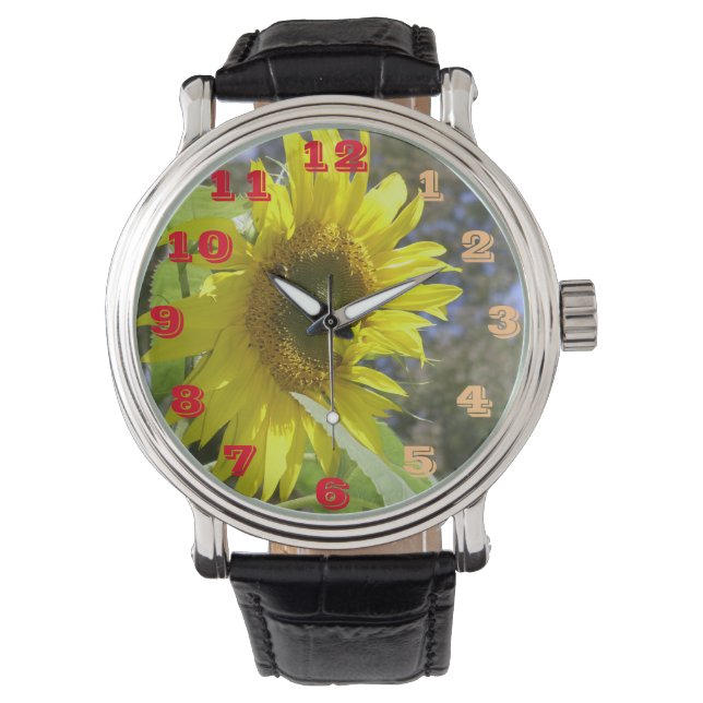 Reloj solar (Anverso)