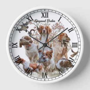 Reloj Spaniel de Bretaña