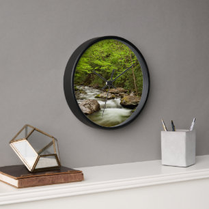 Reloj Straight Fork Fluye a Través del Bosque