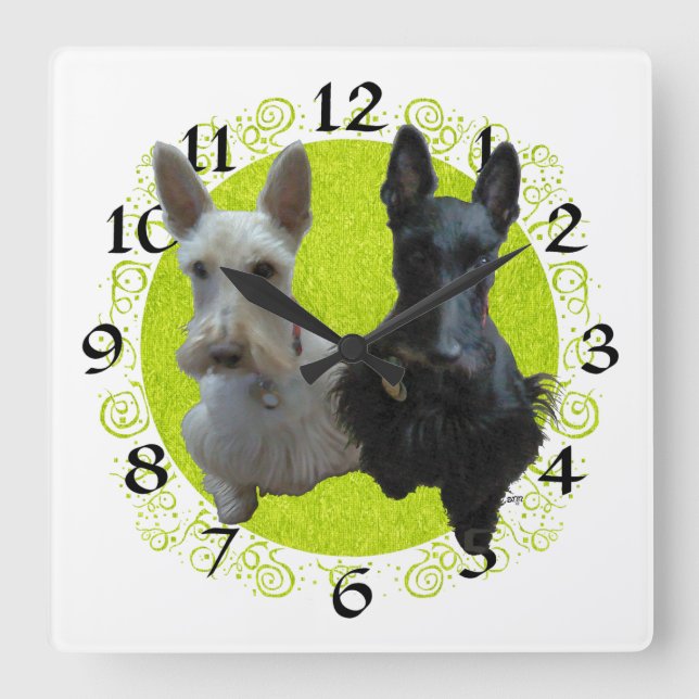 Reloj Terrier de Escocia (Anverso)