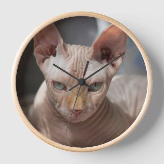 Reloj The Bold Cat – Artistic Wall Clock for Cat Lovers