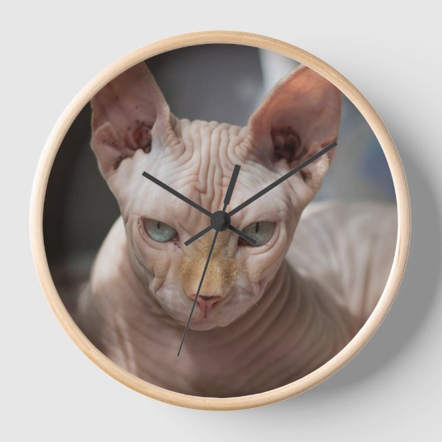 Reloj The Bold Cat – Artistic Wall Clock for Cat Lovers (Anverso)