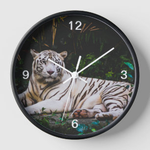 Reloj Tigre