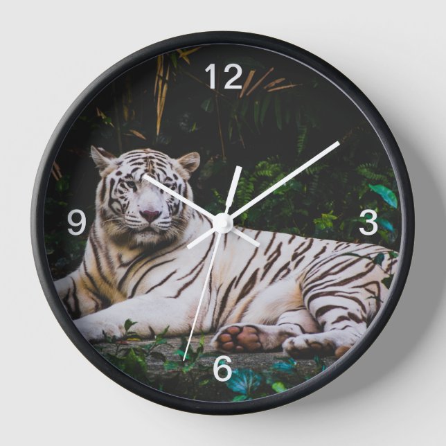 Reloj Tigre (Anverso)