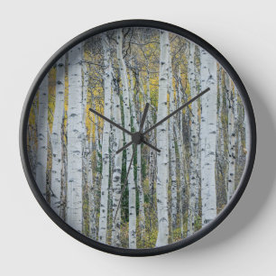 Reloj Troncos de árbol de álamo Aspen, Colorado