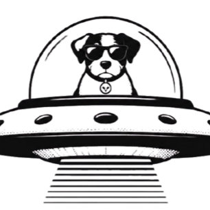 RELOJ UFO PETS