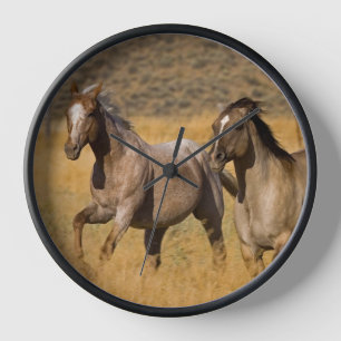 Reloj Vida en rancho en The Ponderosa Ranch