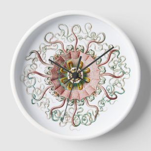 Reloj Viñeta de la medusa de vinatina dibujar Wall Clock