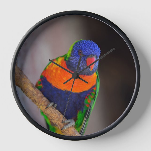 Reloj Vuelos de tiempo (Anverso)