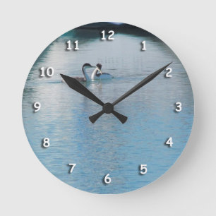 Reloj - Western Grebe en el puerto v3