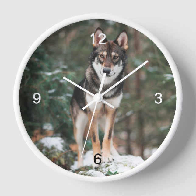 Reloj Wolfdog (Anverso)