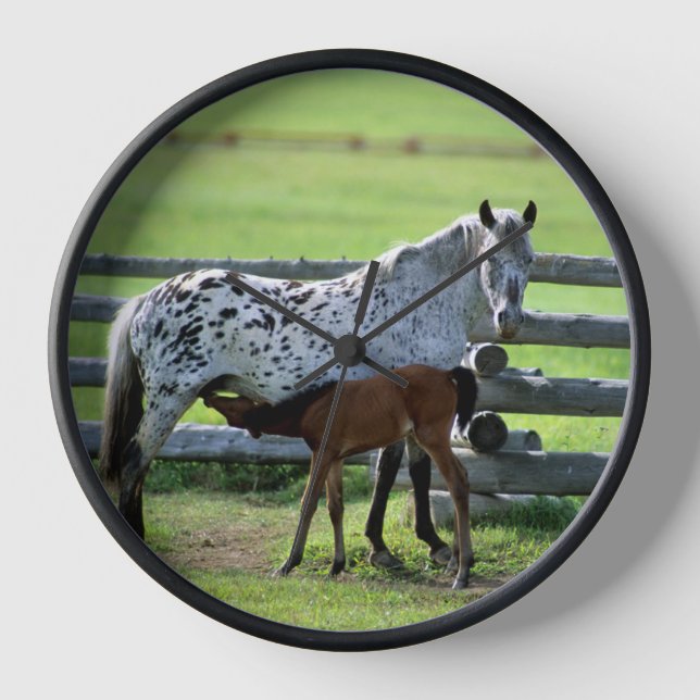 Reloj Yegua Appaloosa y potro (Anverso)