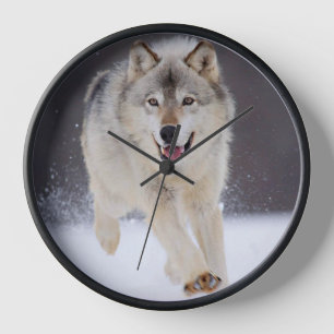 Reloj Yellowstone Wolf