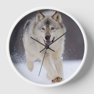 Reloj Yellowstone Wolf