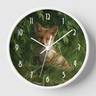 Reloj Zorro de bebé barato en un bosque verde