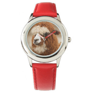 Relojes alpaca marrones