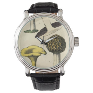 Relojes británicos de la seta del vintage