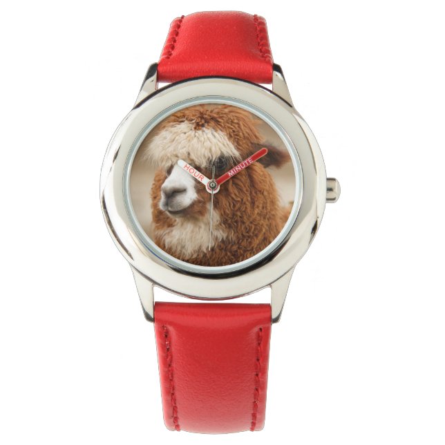 Relojes de alpaca marrones (Anverso)