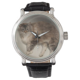 Relojes de gato