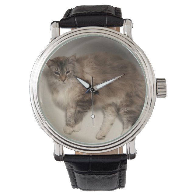 Relojes de gato (Anverso)