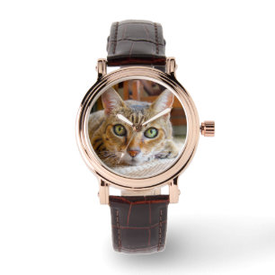 Relojes de gato curados