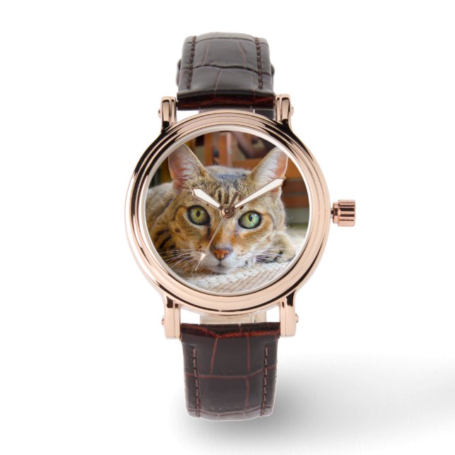 Relojes de gato curados (Anverso)