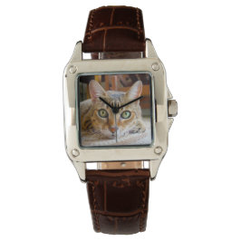 Relojes de gato curados