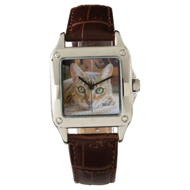 Relojes de gato curados (Anverso)