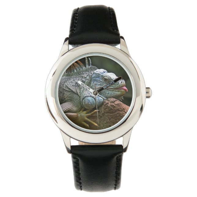 Relojes de iguana (Anverso)