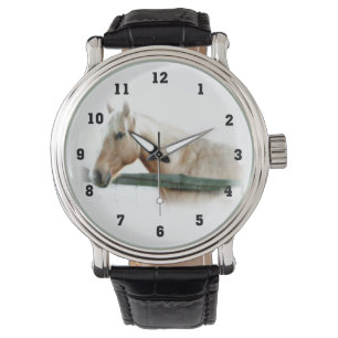 Relojes de la foto del caballo