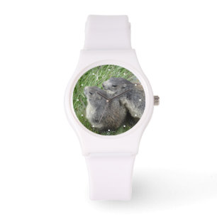 Relojes de marmot
