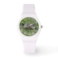 Relojes de marmota