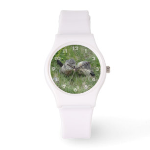 Relojes de marmota