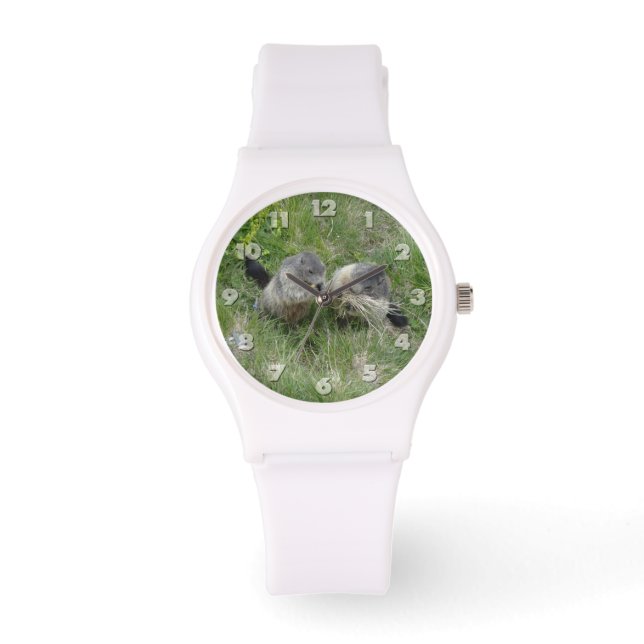 Relojes de marmota (Anverso)