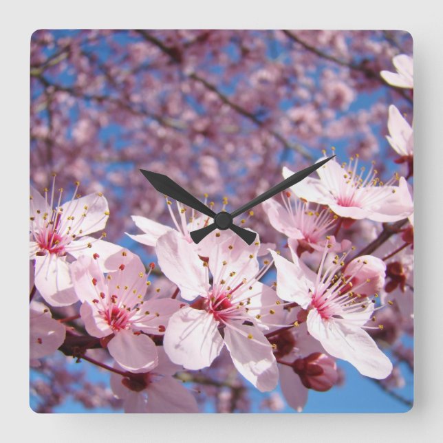 Relojes de pared de flores de árbol de primavera r (Anverso)