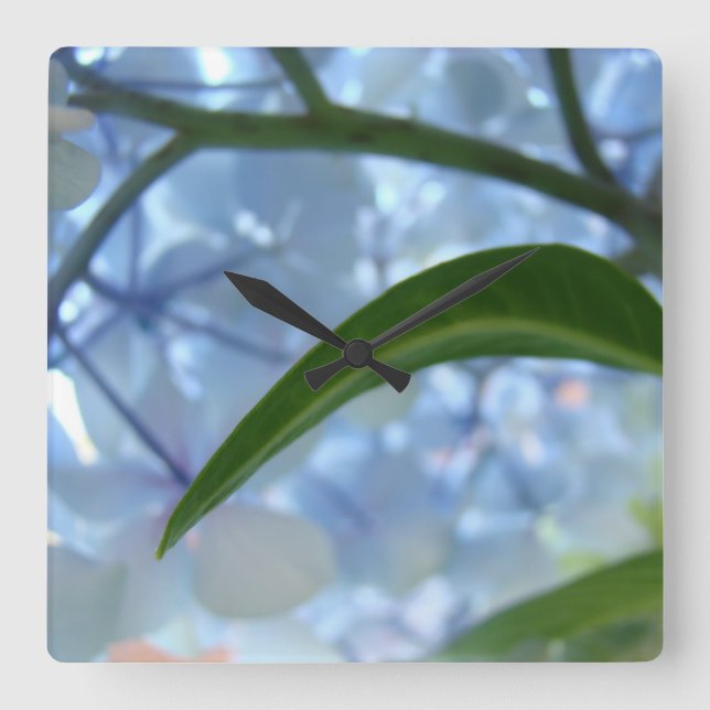 Relojes de pared de flores de Hortensia Azul Diseñ (Anverso)