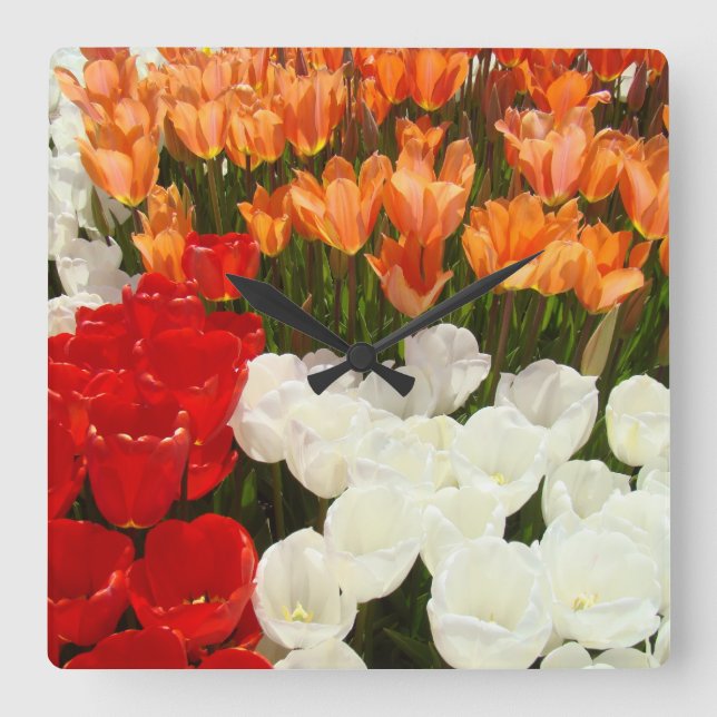 Relojes de pared decorativos naranjas rojos blanco (Anverso)