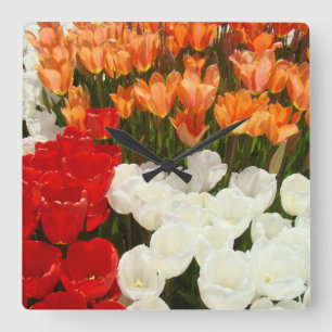 Relojes de pared decorativos naranjas rojos blanco