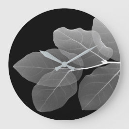 Relojes de Pared - Hojas de Rayos X
