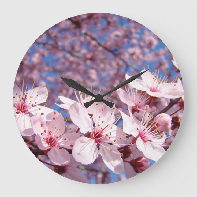 Relojes de pared Primavera Rosa Flor de árbol pers (Anverso)