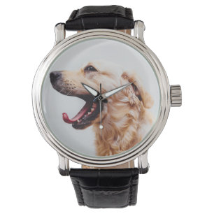 Relojes de perro