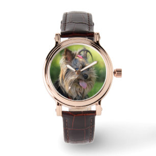 Relojes de perro