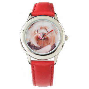 Relojes de perro