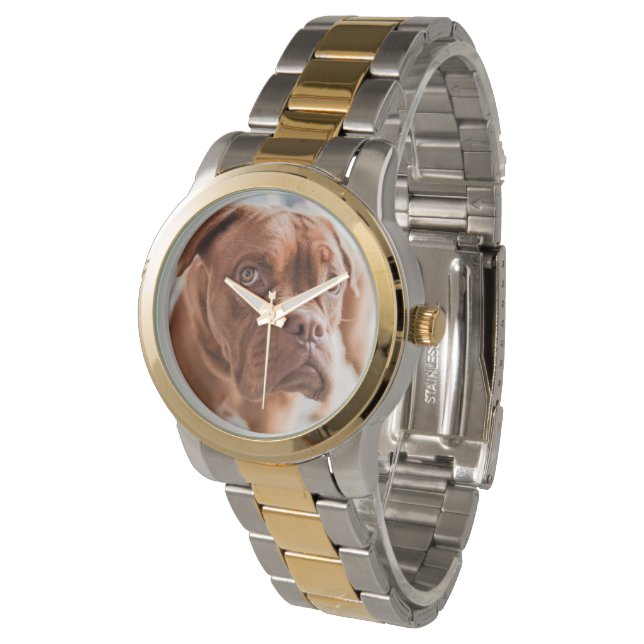 Relojes de perro (Angular)