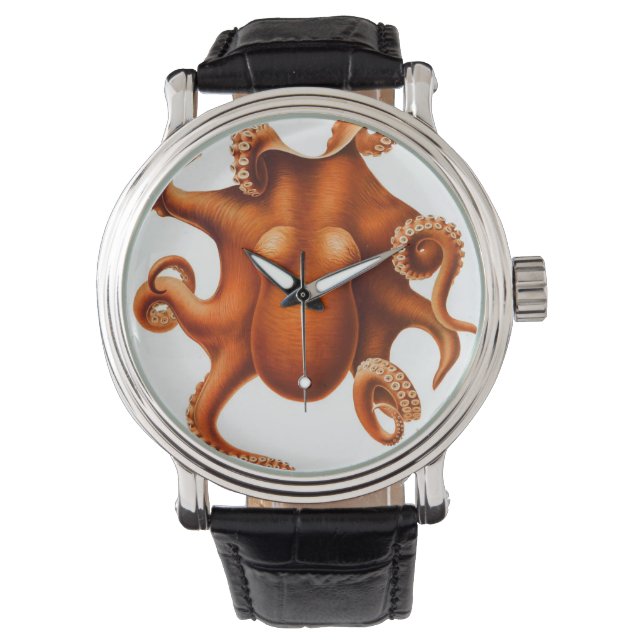 Relojes de pulpo vintage (Anverso)