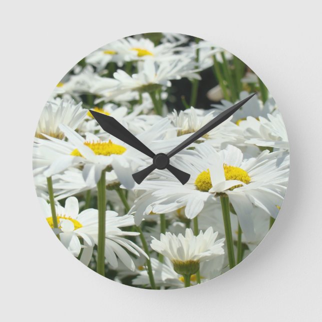 Relojes Decorativos Flores de Verano Margarita Bla (Anverso)